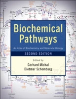 Biochemical Pathways: An Atlas of Biochemistry and Molecular Biology