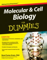 MOLECULAR & CELL BIOLOGY FOR DUMMIES