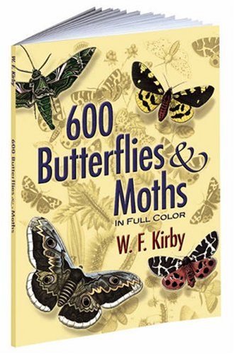 600 BUTTERFLIES AND MOTHS