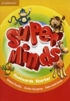SUPER MINDS STARTER SLIKOVNE KARTICE