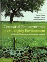 Terrestrial Photosynthesis in a Changing Environment: A Molecular, Physiological, and Ecological Approach