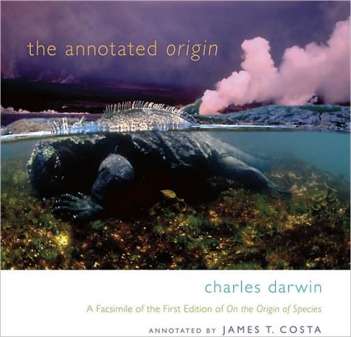 ANNOTATED ORIGIN