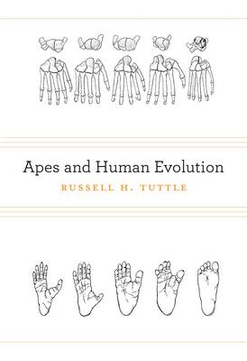 APES AND HUMAN EVOLUTION