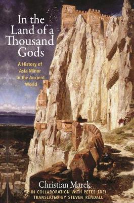 In the Land of a Thousand Gods - A History of Asia Minor in the Ancient World