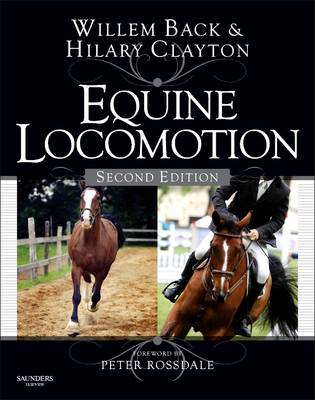 EQUINE LOCOMOTION