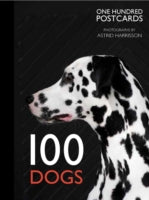 100 DOGS IN A BOX