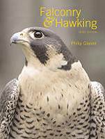 FALCONRY AND HAWKING
