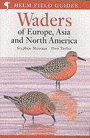 Waders of Europe, Asia and North America