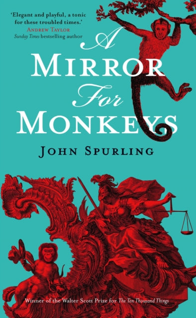 Mirror for Monkeys