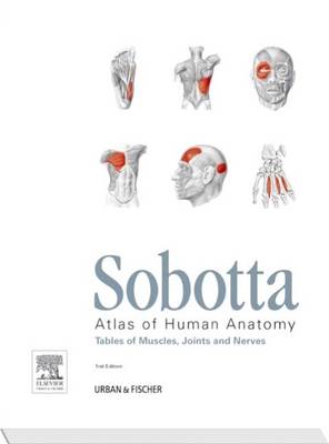 Sobotta Tables of Muscles, Joints and Nerves, English/Latin: Tables to 15th ed. of the Sobotta Atlas