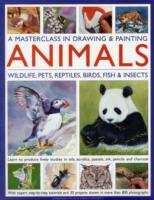 A Masterclass in Drawing and Painting Animals: Wildlife, Pets, Reptiles, Birds, Fish and Insects