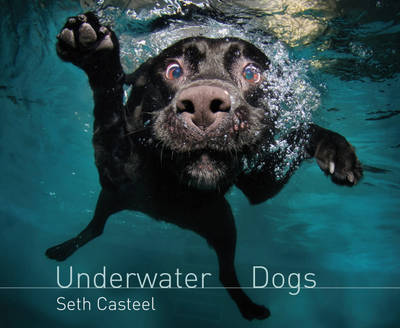 UNDERWATER DOGS