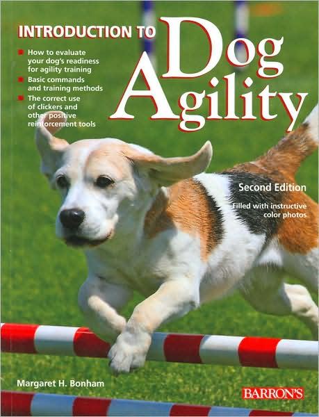 INTRODUCTION TO DOG AGILITY