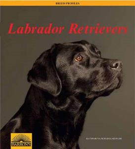 Labrador Retriever: Barron's Breed Profiles