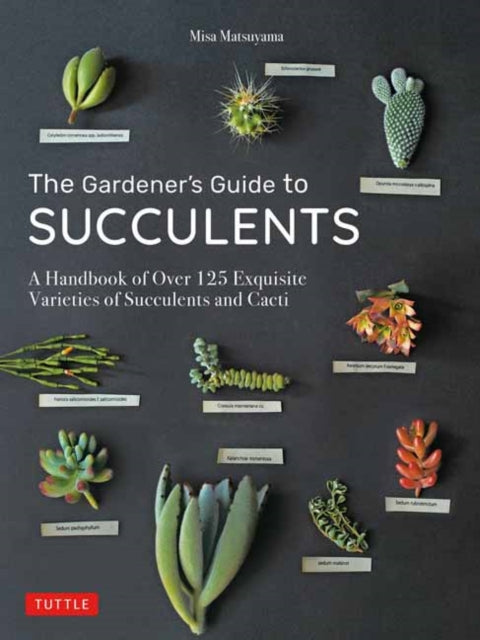 The Gardener's Guide to Succulents - A Handbook of Over 125 Exquisite Varieties of Succulents and Cacti