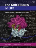 Molecules of Life