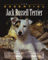 The Essential Jack Russell Terrier