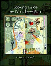LOOKING INSIDE THE DISORDERED MIND