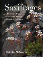SAXIFRAGES