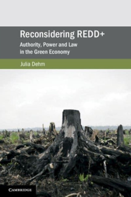 Reconsidering REDD+