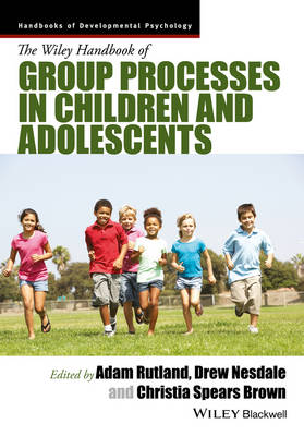 WILEY HANDBOOK OF GROUP PROCESSES IN CHI
