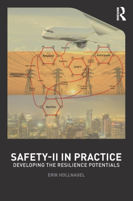 Safety-II in Practice