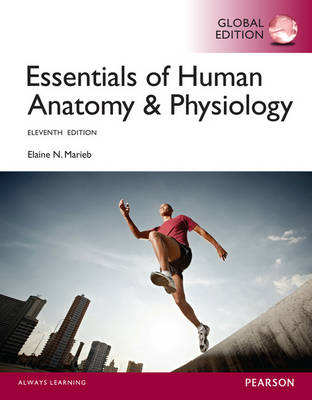Essentials of Human Anatomy & Physiology, Global Edition