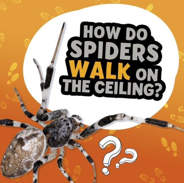 how-do-spiders-walk-on-the-ceiling-emka