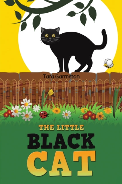 Little Black Cat