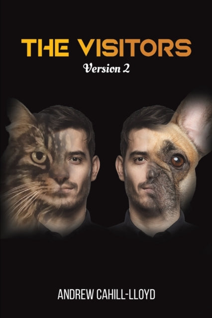 Visitors - Version 2