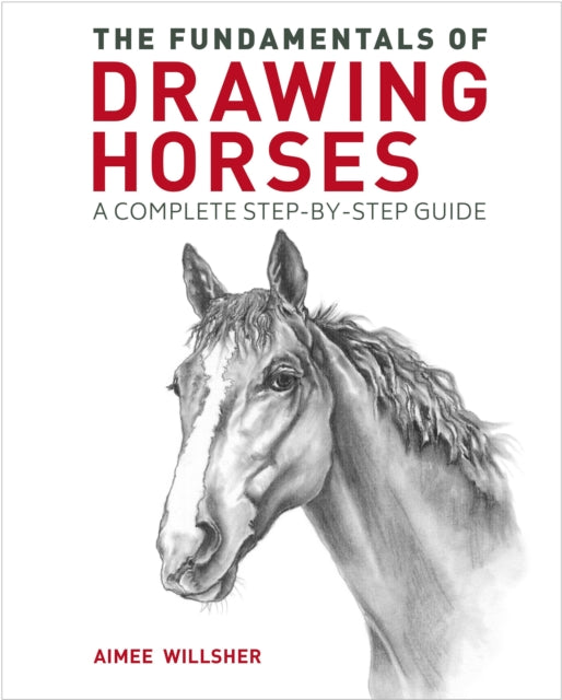 The Fundamentals of Drawing Horses - A Complete Step-by-Step Guide