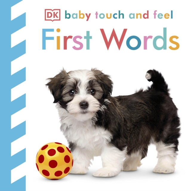 Baby Touch and Feel: First Words
