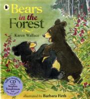 BEARS IN THE FOREST