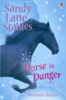 HORSE IN DANGER