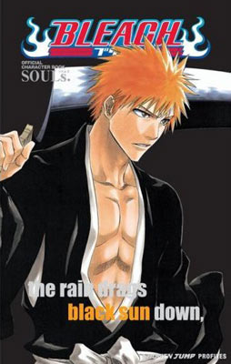 Bleach SOULs: Official Character Book