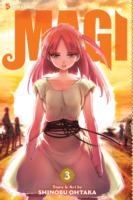 Magi: The Labyrinth of Magic, Vol. 3: The Labyrinth of Magic
