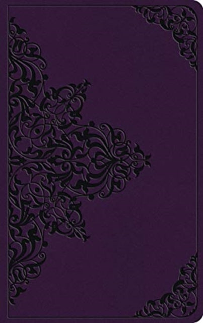 ESV Large Print Value Thinline Bible