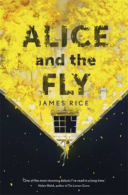 ALICE AND THE FLY
