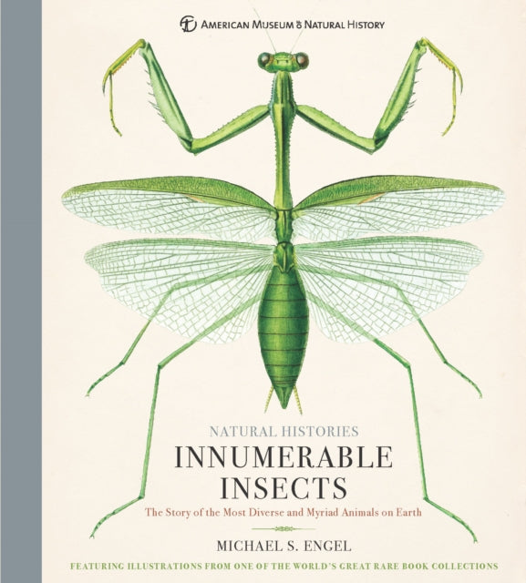 Innumerable Insects