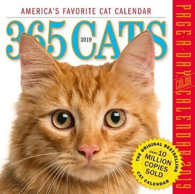 2019 365 Cats Colour Page-A-Day Calendar