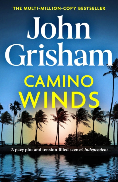 Camino Winds - The Ultimate Summer Murder Mystery from the Greatest Thriller Writer Alive