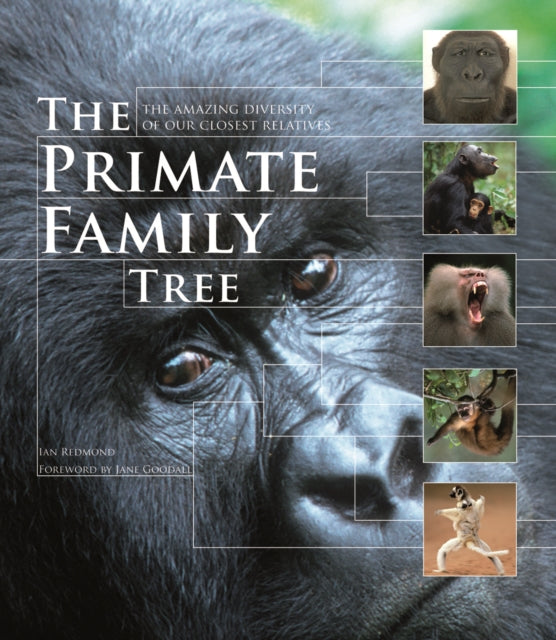 The Primate Family Tree - The Amazing Diversity of Our Closest Relatives