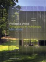 Immaterial World