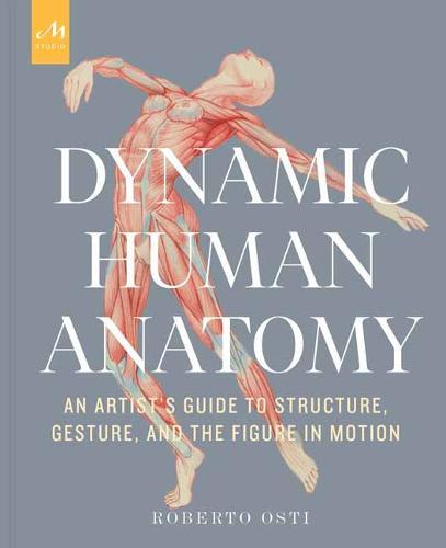 Dynamic Human Anatomy - An Artist's Guide to Structure, Gesture, and the Figure in Motion