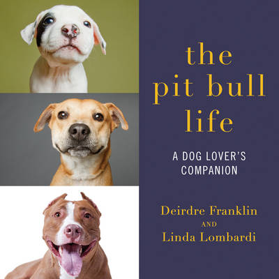 The Pit Bull Life a Dog Lover's Companion