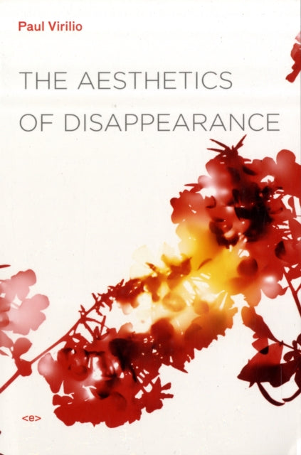 Aesthetics of Disappearance
