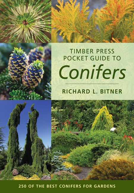 TIMBER PRESS POCKET GUIDE TO CONIFERS