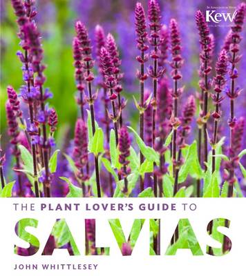 The Plant Lover's Guide to Salvias
