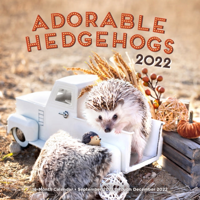 Adorable Hedgehogs 2022 - 16-Month Calendar - September 2021 through December 2022