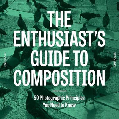 The Enthusiast's Gudie to Composition: 50 Photographic Principles You Need to Know